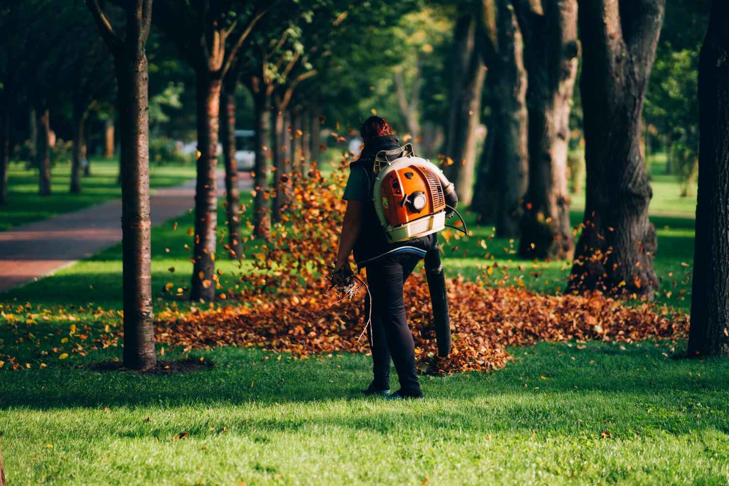 Best Tree Care Services  in USA